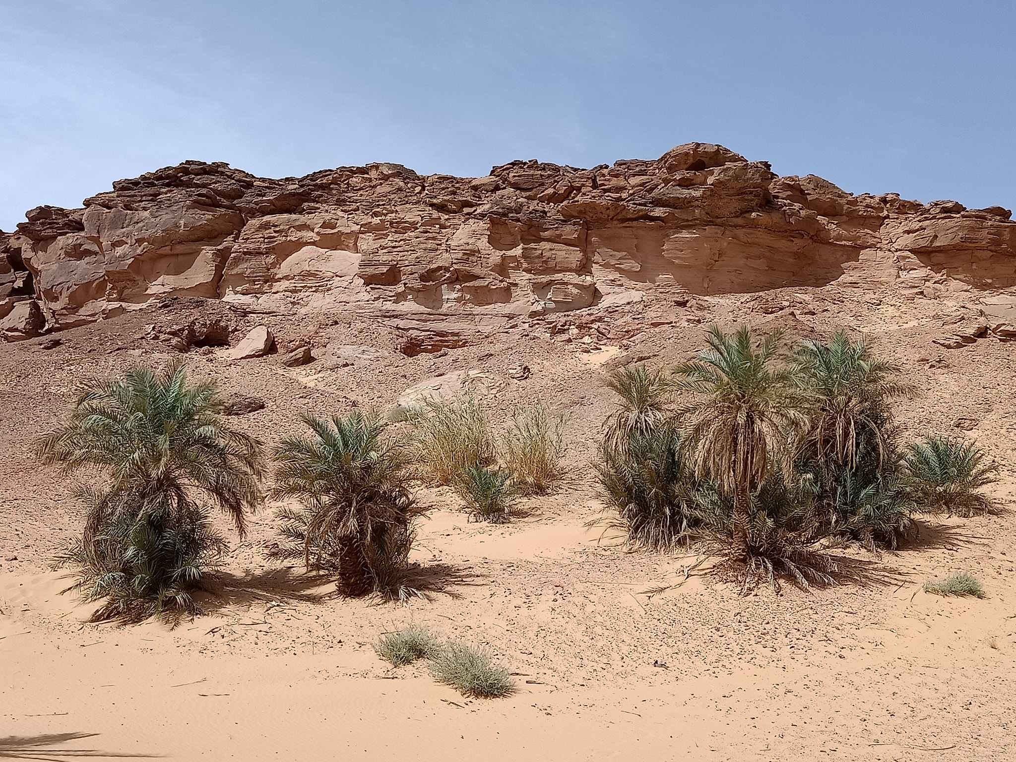 قصر فاعون 1