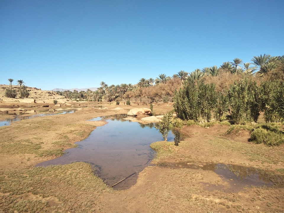 قلعة الشيخ بوعمامة 2