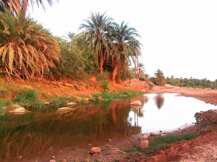 قلعة الشيخ بوعمامة 9