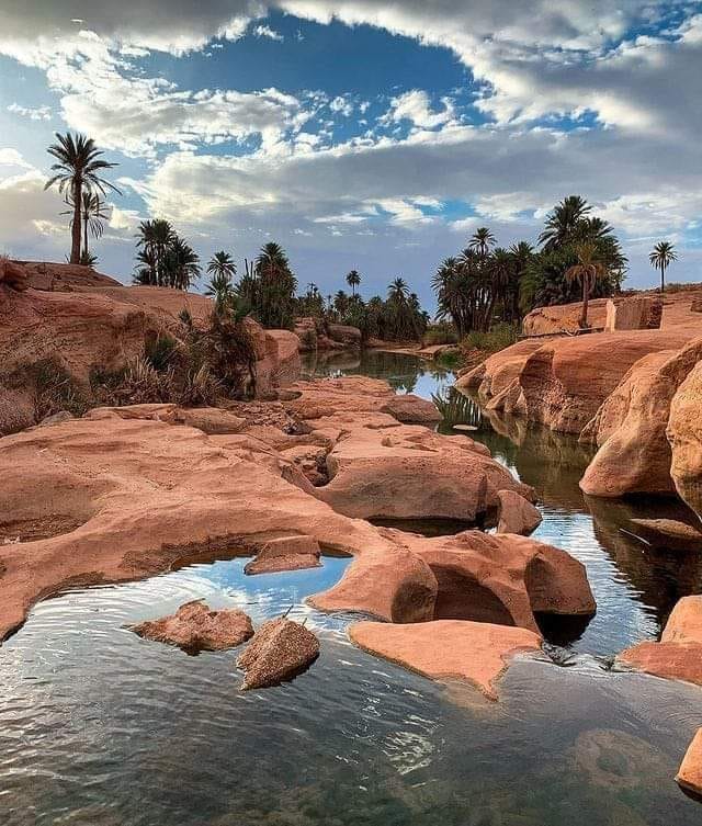 تيوت 2
