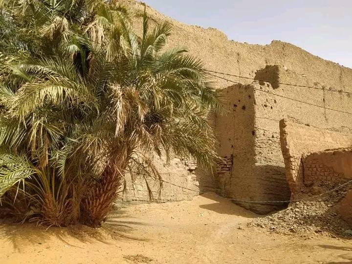 قصور أولاد سعيد