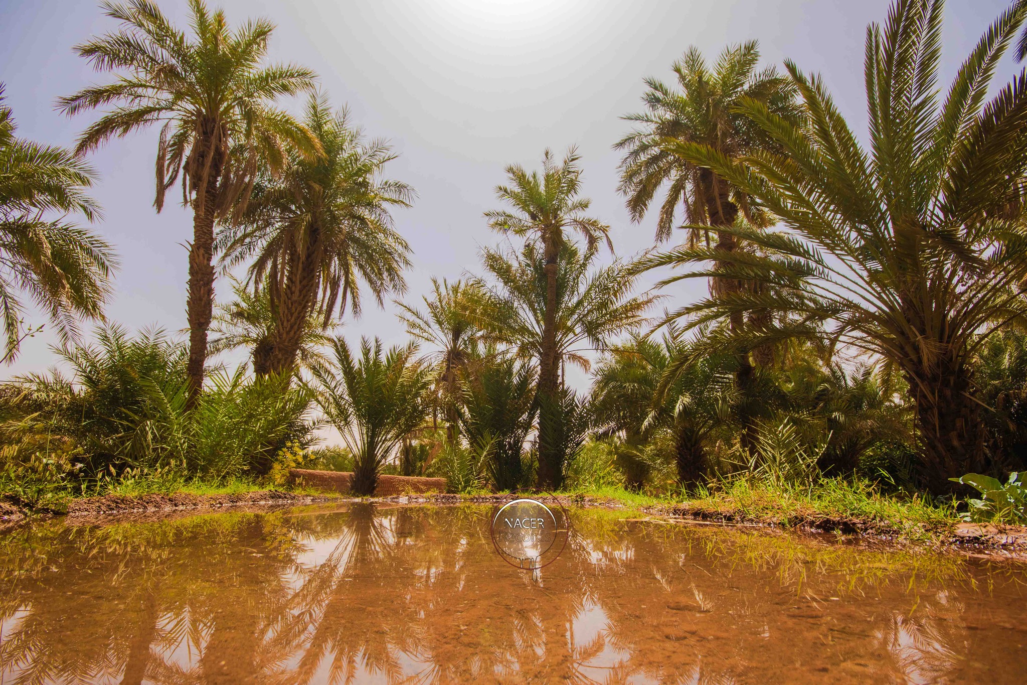 قصور أولاد سعيد 10