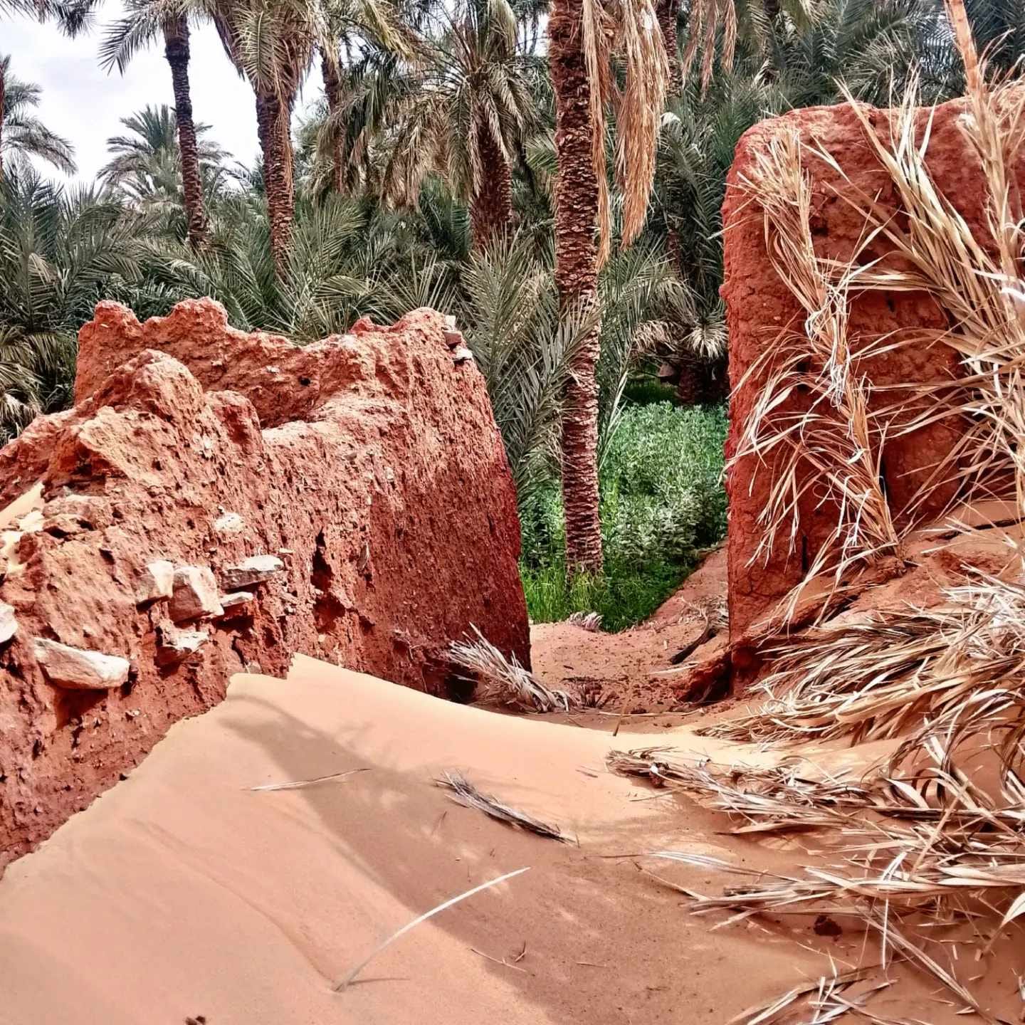 قصر تالة 12