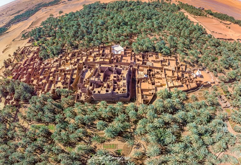 قصر تالة 8