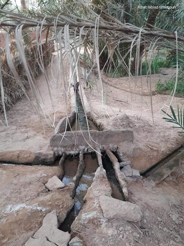 قصر تالة 9